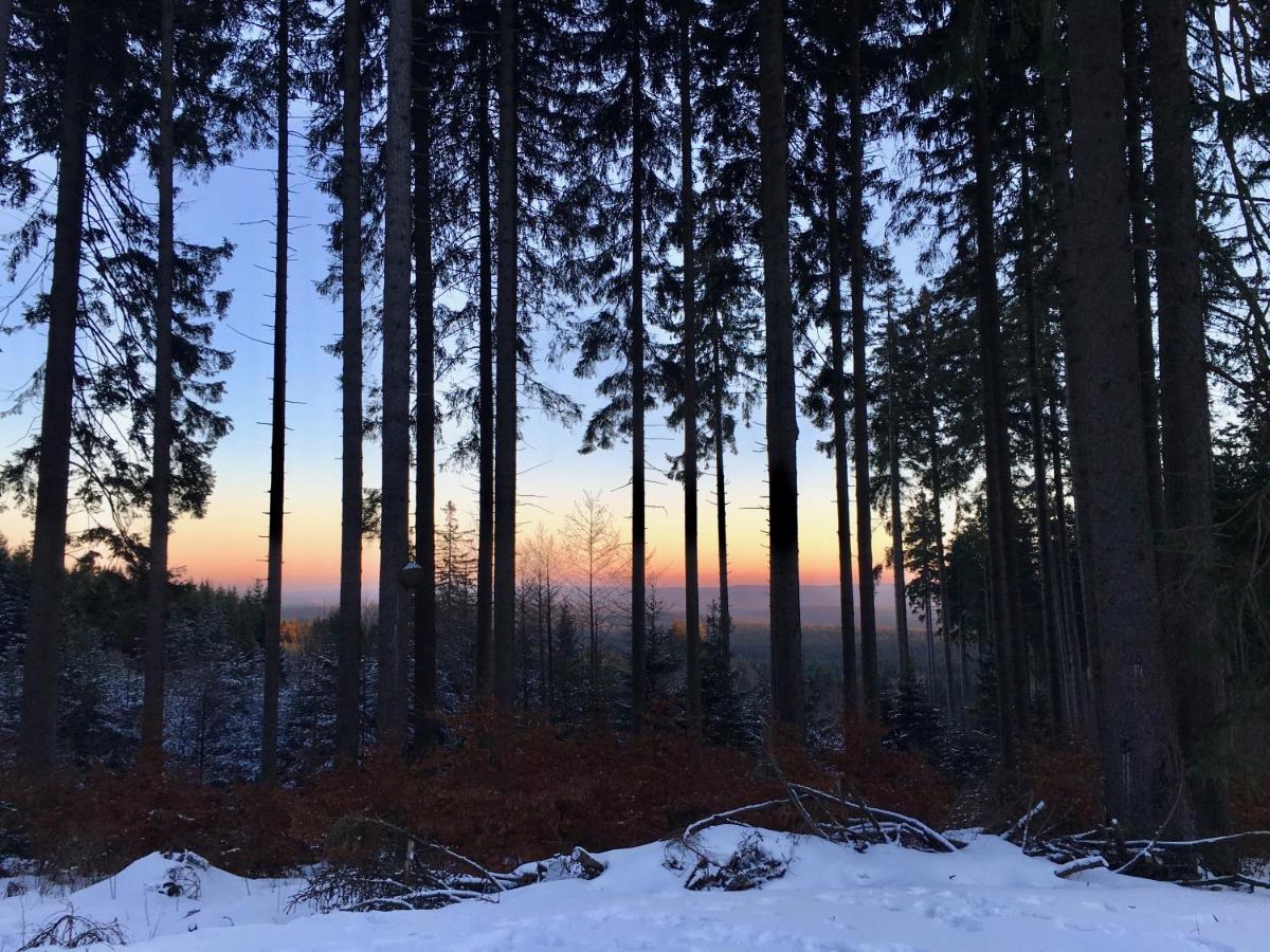 Fewo Harzromantik Braunlage Exterior photo