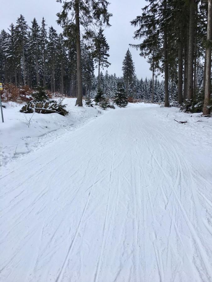 Fewo Harzromantik Braunlage Exterior photo